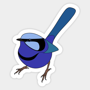 Splendid Fairy Wren Sticker